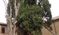 DSC00912.JPG